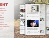 WordPress主题Light发布