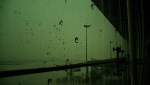 【转】爱与伤害